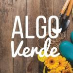 Algo Verde